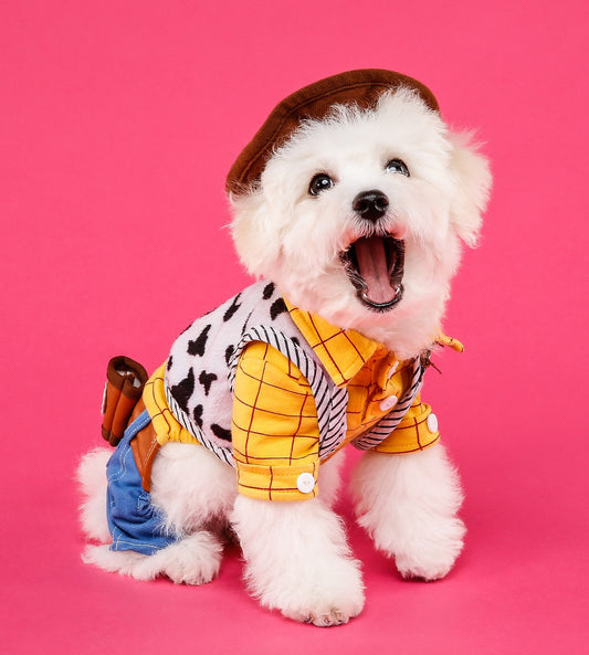 7 petites races de chiens tranquilles qui ne rendront pas fou votre voisinage