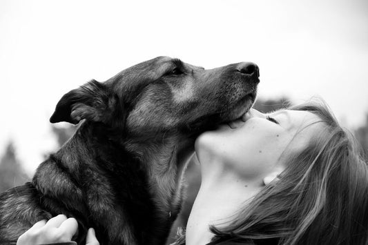 10 façons dont votre chien montre qu'il vous fait entièrement confiance