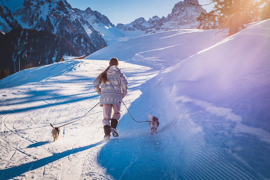 4 conseils pour protéger votre chien du froid