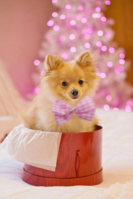 Top 7 idées de cadeaux pour Noël
