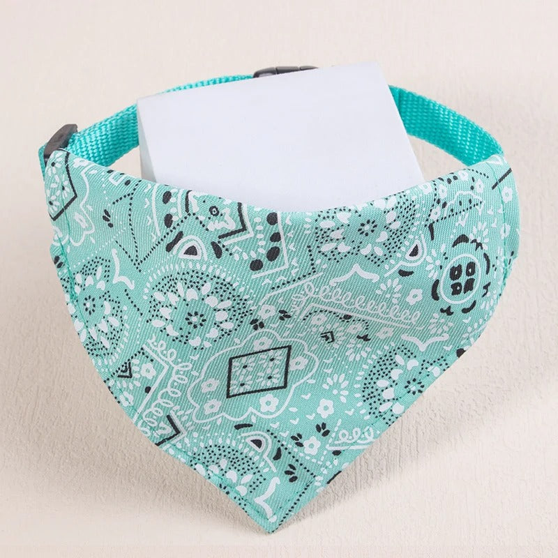 Bandana-pour-chien-turquoise