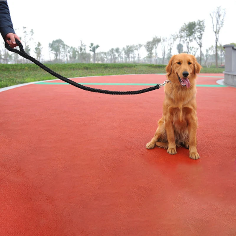 Laisse pour chien | RockCorde™