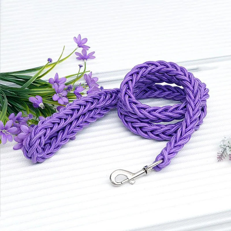 Laisse pour chien | RockCorde™