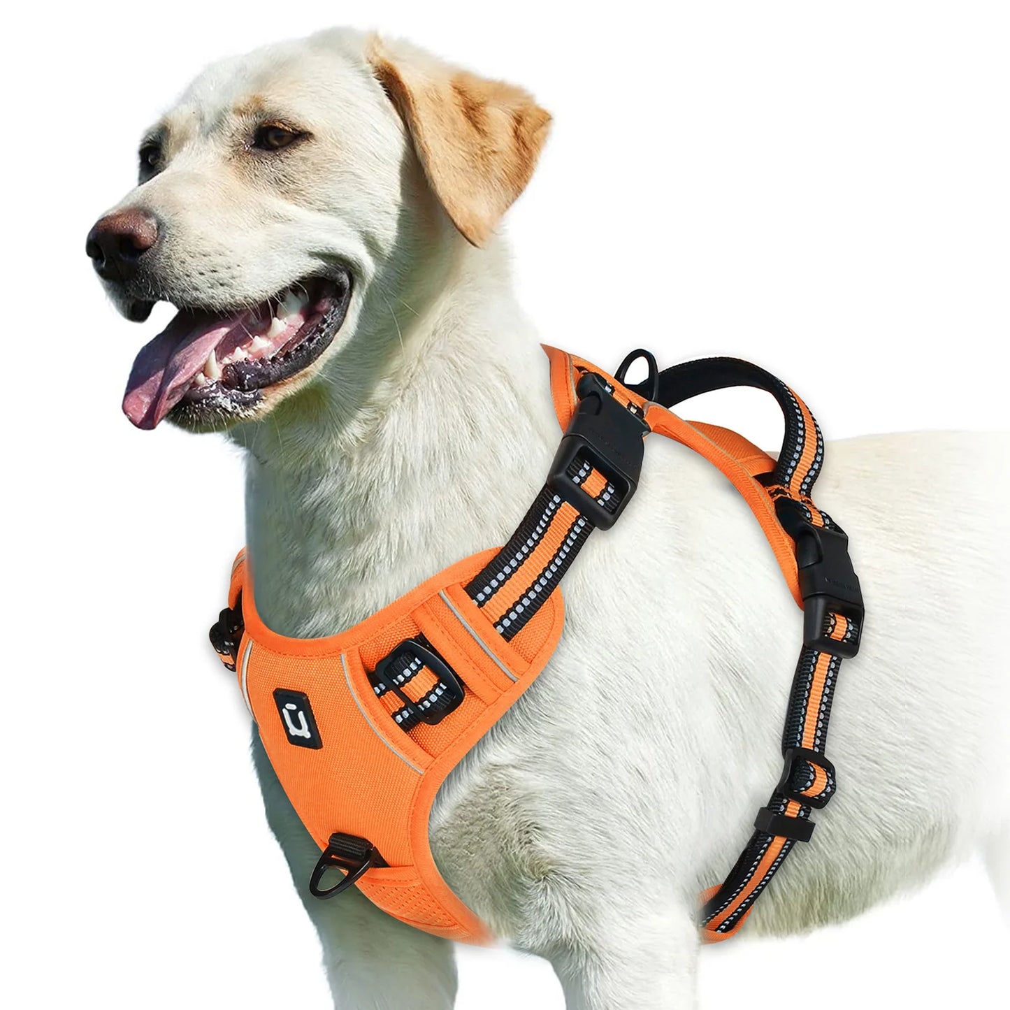 Harnais pour chien | NoPull Pro™