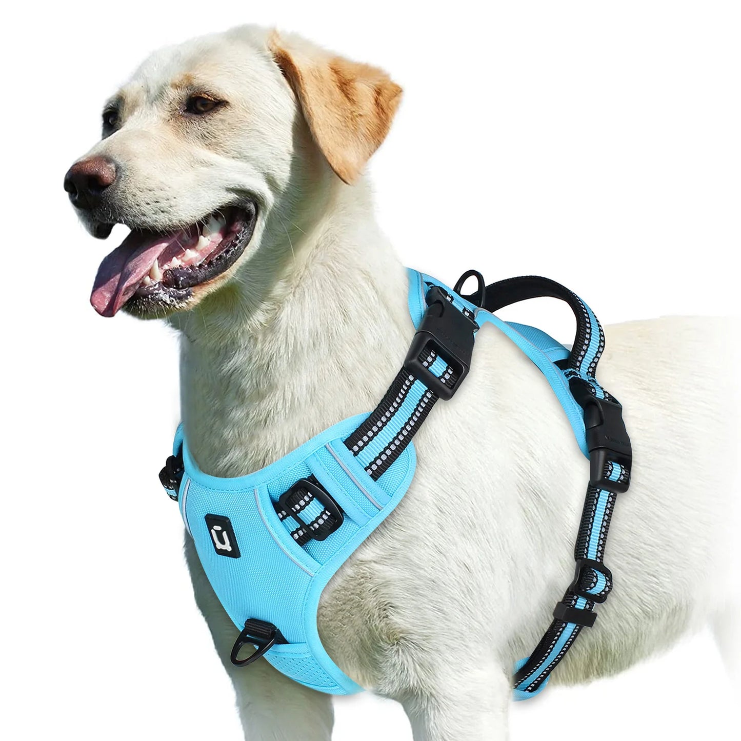Harnais pour chien | NoPull Pro™