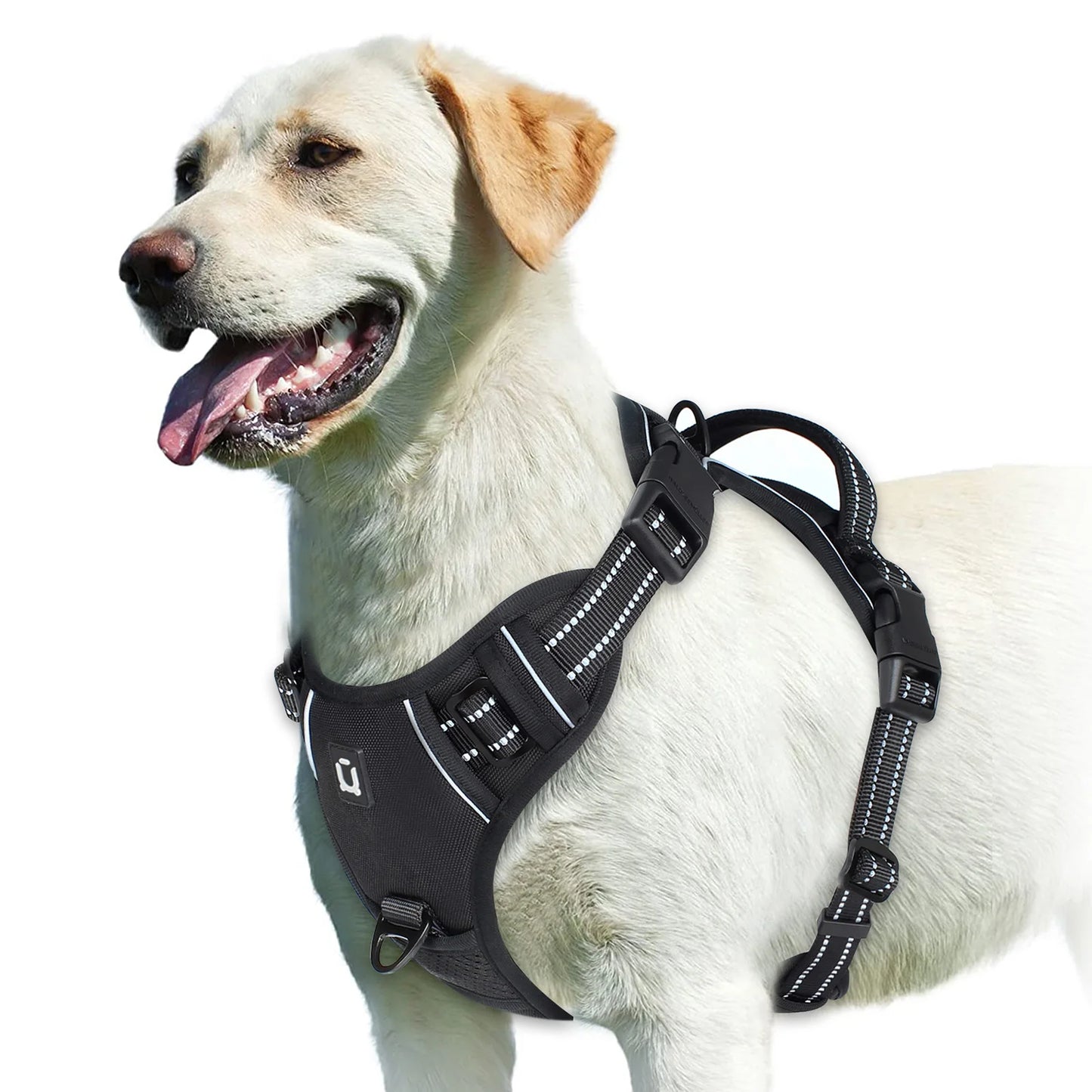 Harnais pour chien | NoPull Pro™