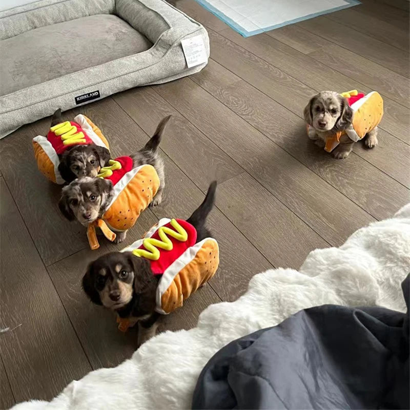 Deguisement chien ToutouâDog