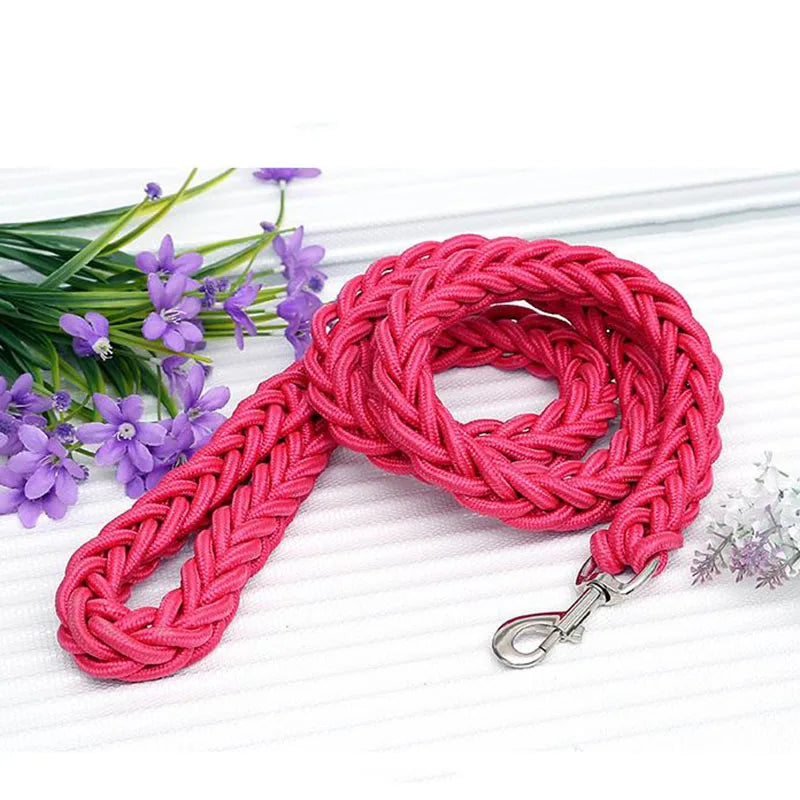 Laisse pour chien | RockCorde™