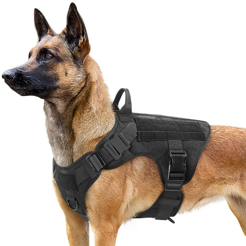 Harnais Gros chien | TitonHarnessâą