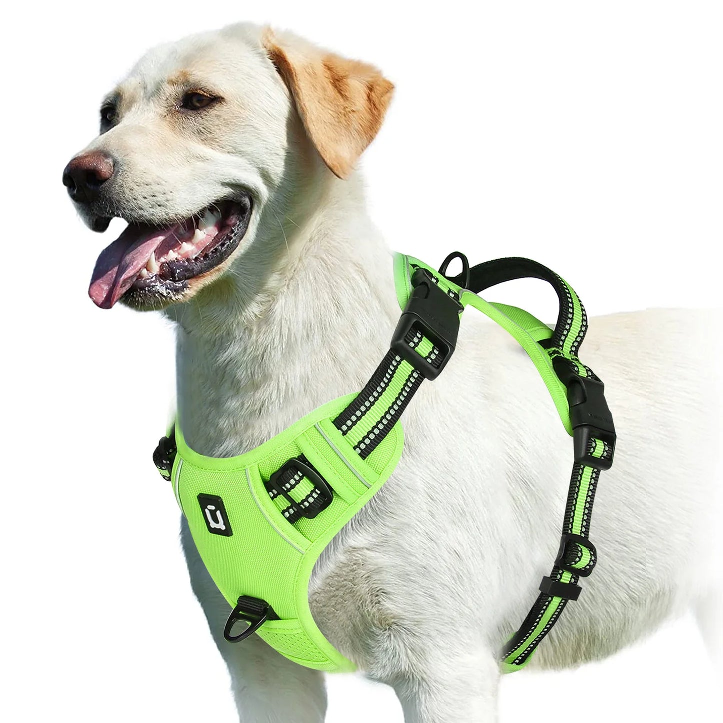 Harnais pour chien | NoPull Pro™