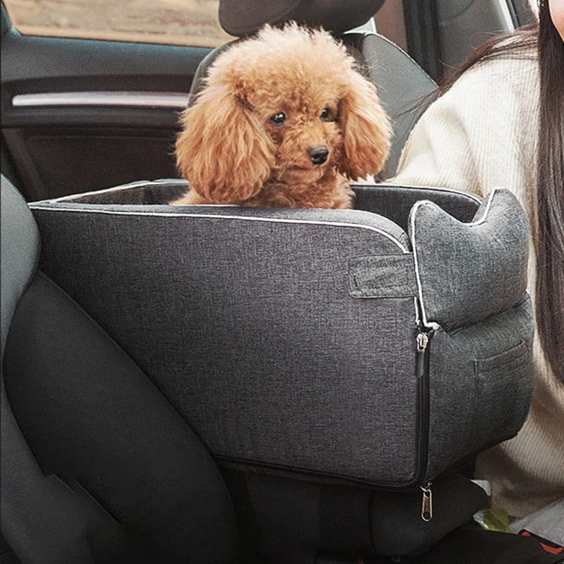 Transport-chien-en-voiture-toutoutrouvaille