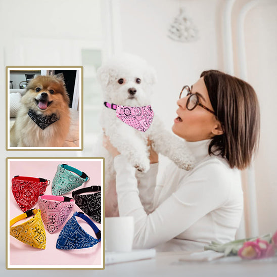 bandana-pour-chien-rose