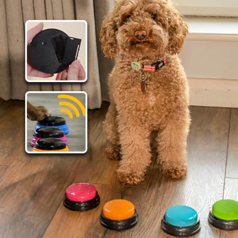 buzzer-chien-apprentissage