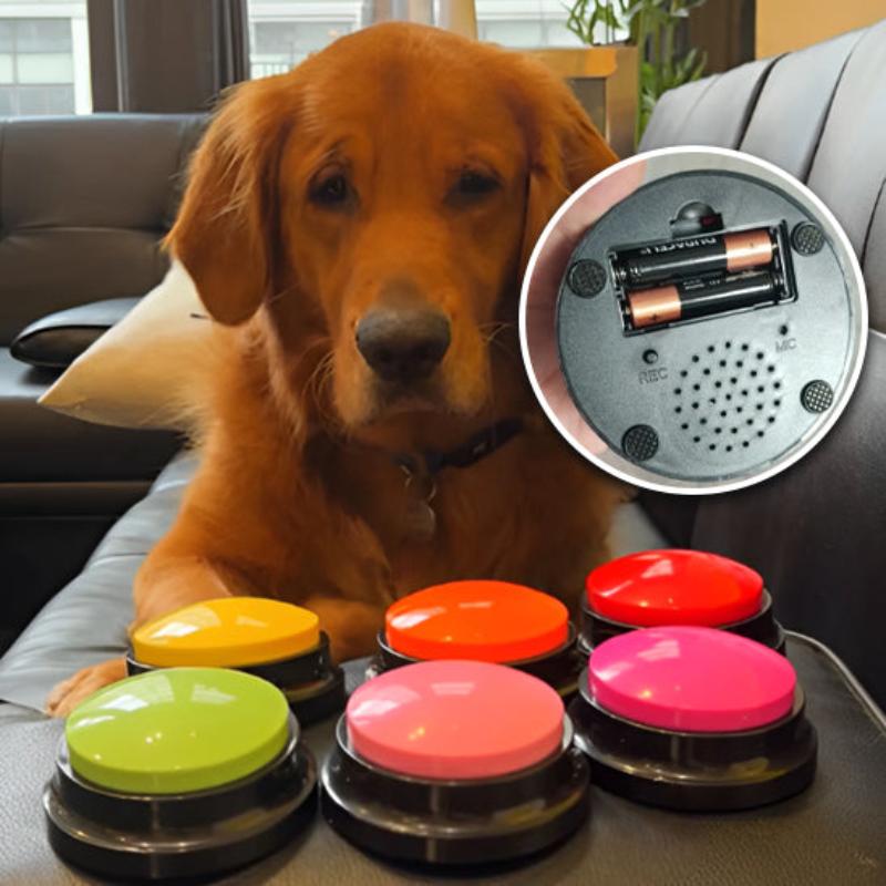 buzzer-chien-couleur