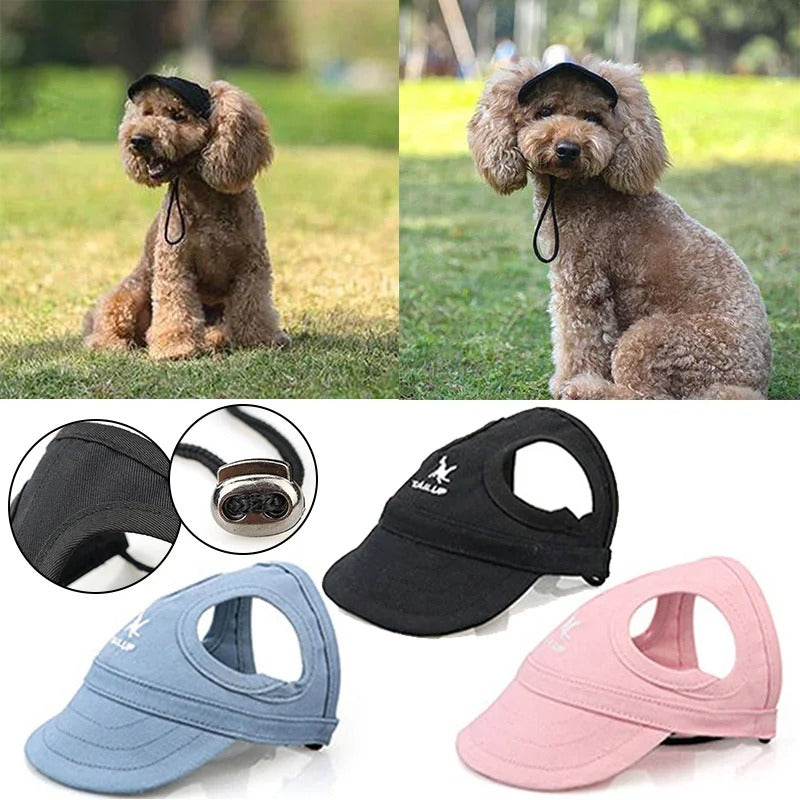 Casquette chien | StreetWoofâą