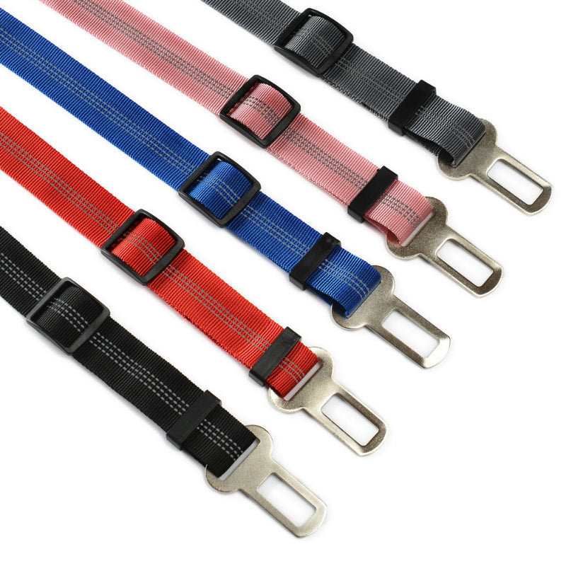 ceinture-de-securite-chien-couleur