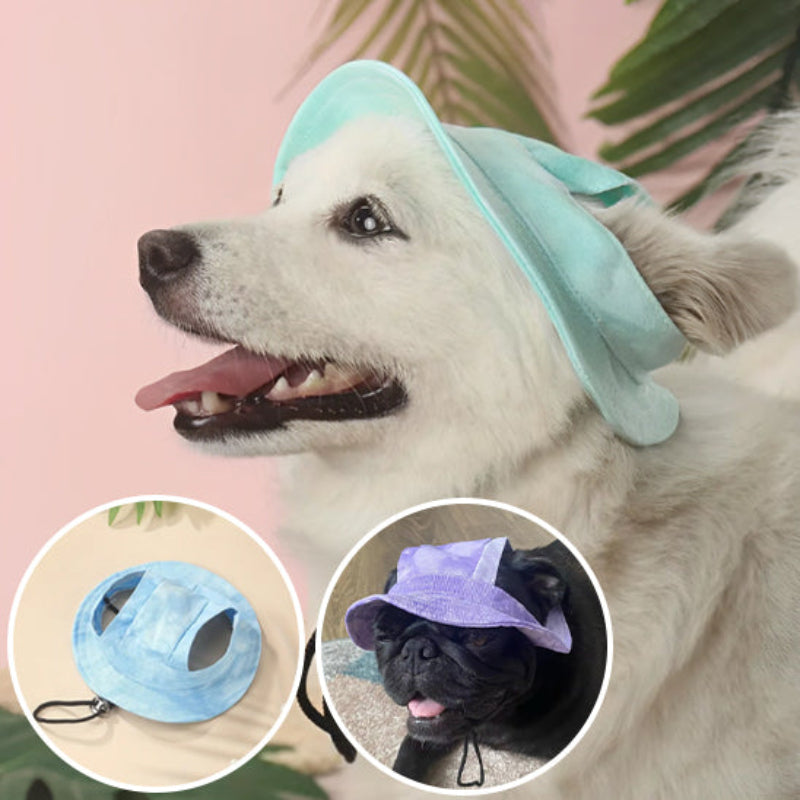 chapeau-chien-vert