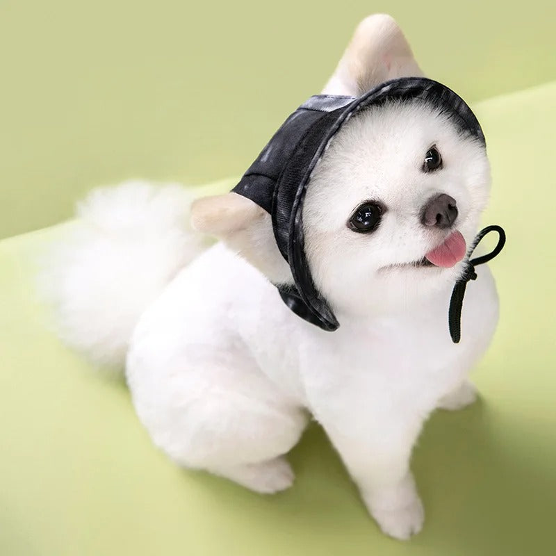 chapeau-pour-chien-noir