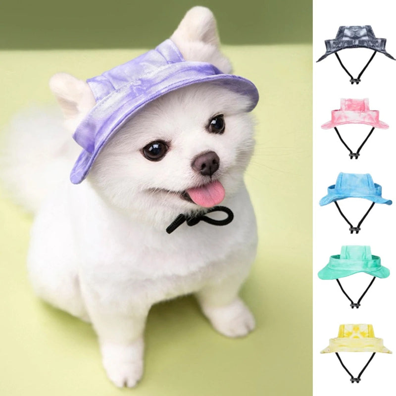 chapeau-pour-petit-chien-couleur