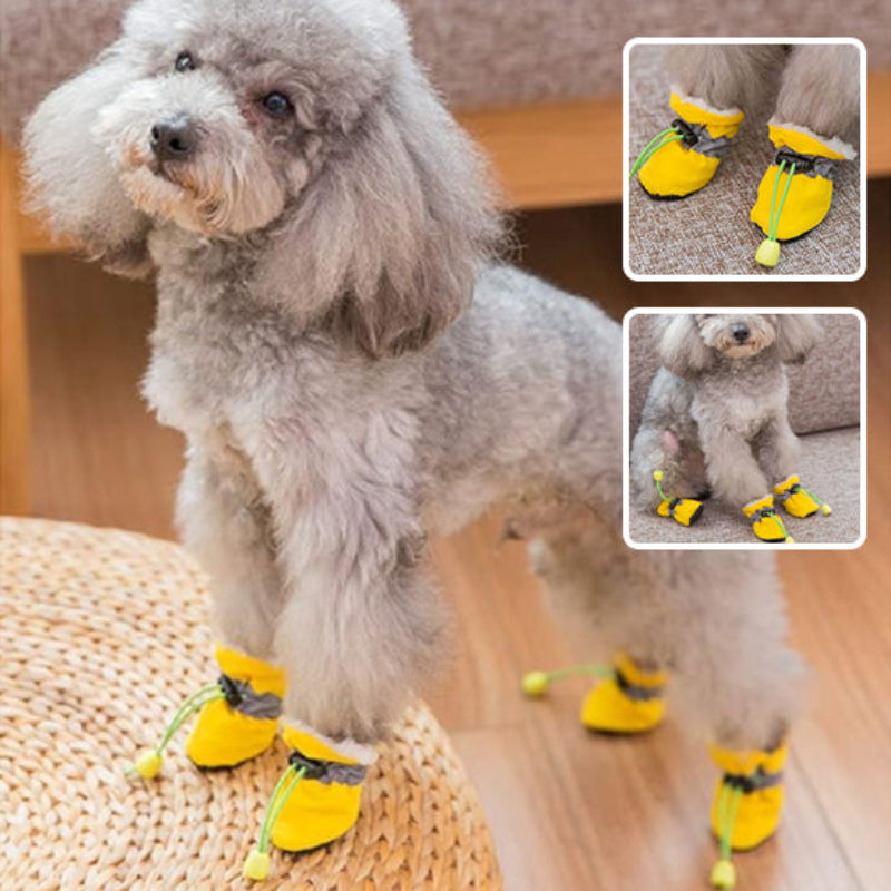 chausson-chien-jaune