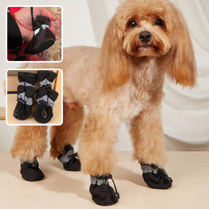 chausson-chien-noir-impermeable