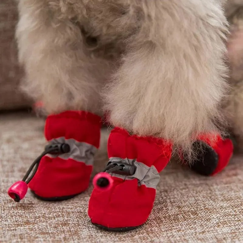 chaussons-chien-rouge