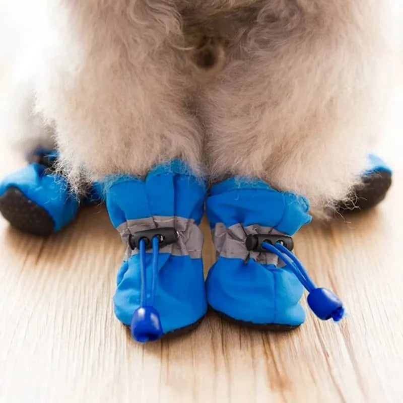 chaussons-pour-chien-bleu