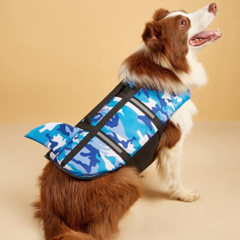 chien avec gilet de sauvetage pour chien