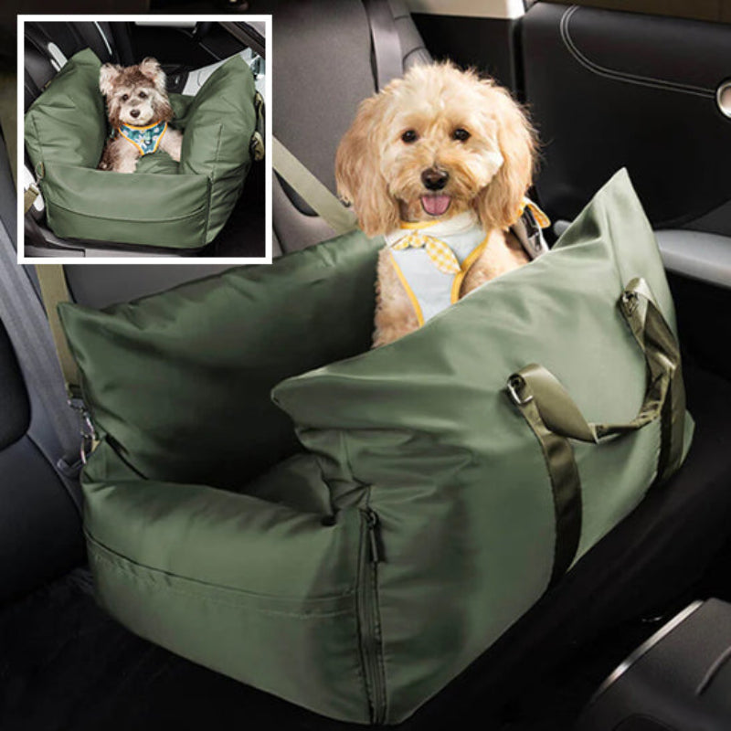 bichon dans un sac de transport vert