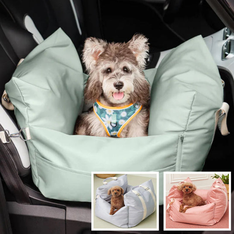 chiens dans des sacs de transport et siege auto pour chien