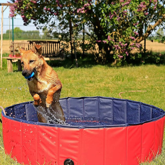 Piscine pour chien | SplashDogâą
