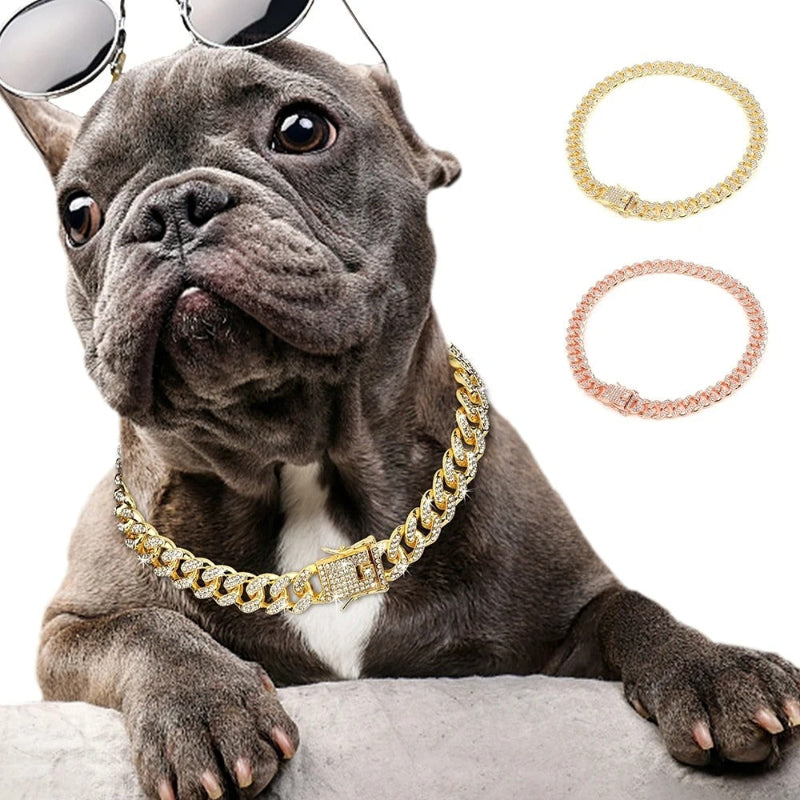 collier-pour-chien-or
