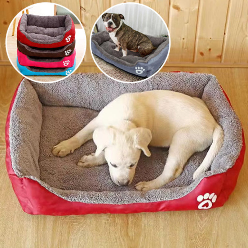 coussin pour chien de différente couleur