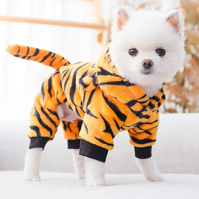 deguisement-chien-tigre