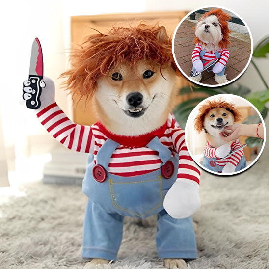 Déguisement pour chien | PsychoPooch™