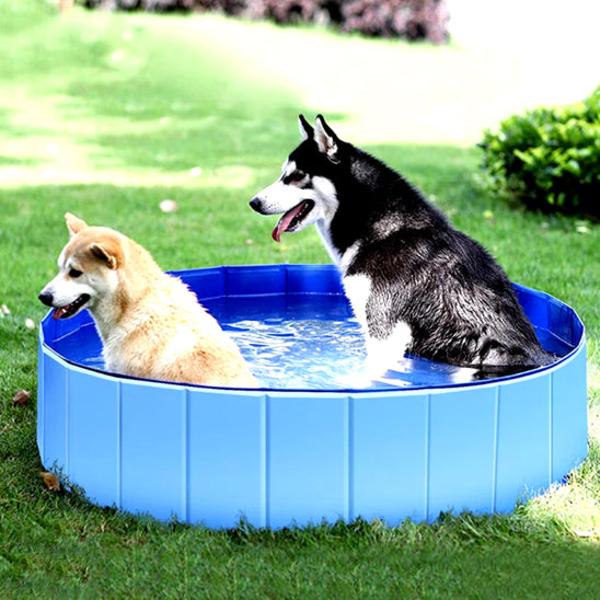 Piscine pour chien | SplashDogâą