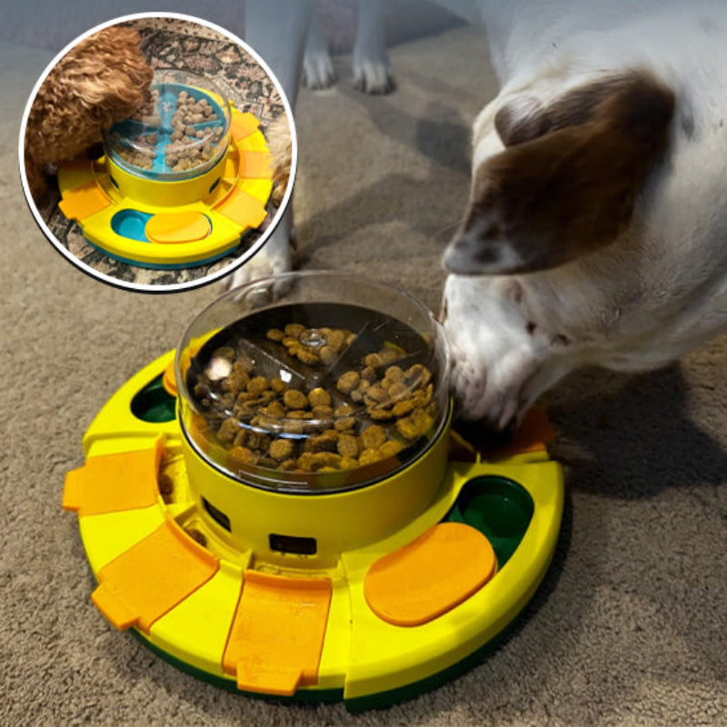 distributeur-croquettes-chien