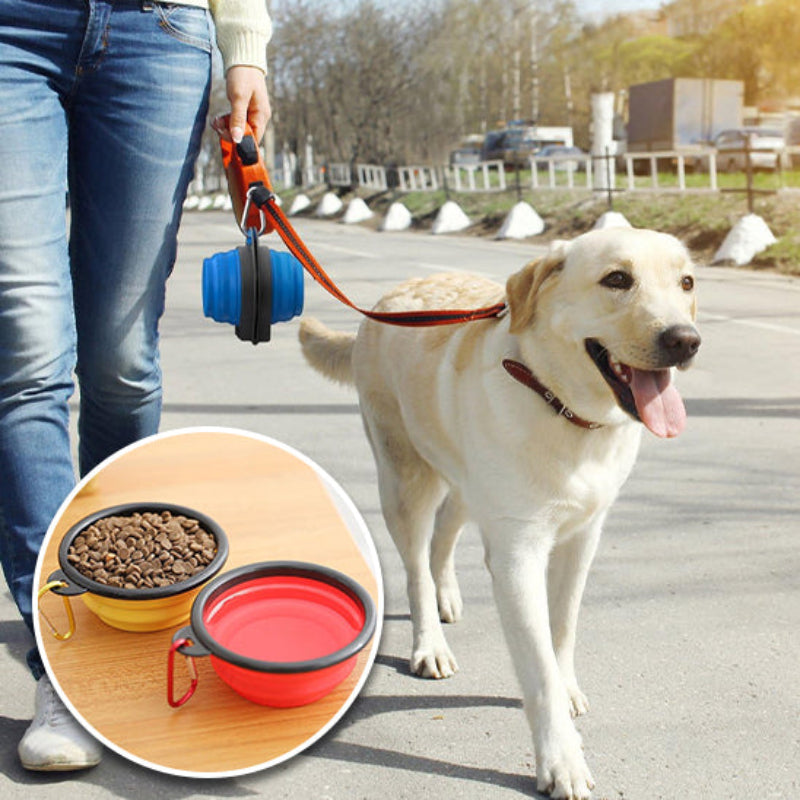 gamelle pour chien en ballade