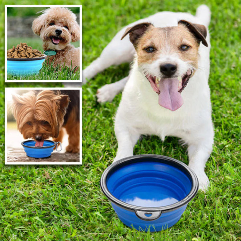 gamelle pour chien pliable bleue rremplie