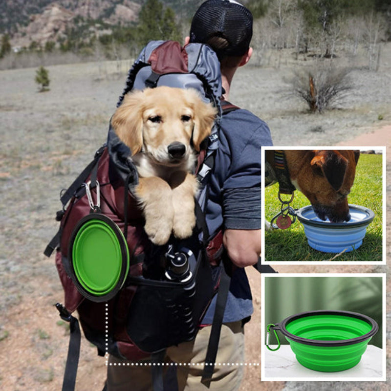gamelle chien verte pliable pour chien