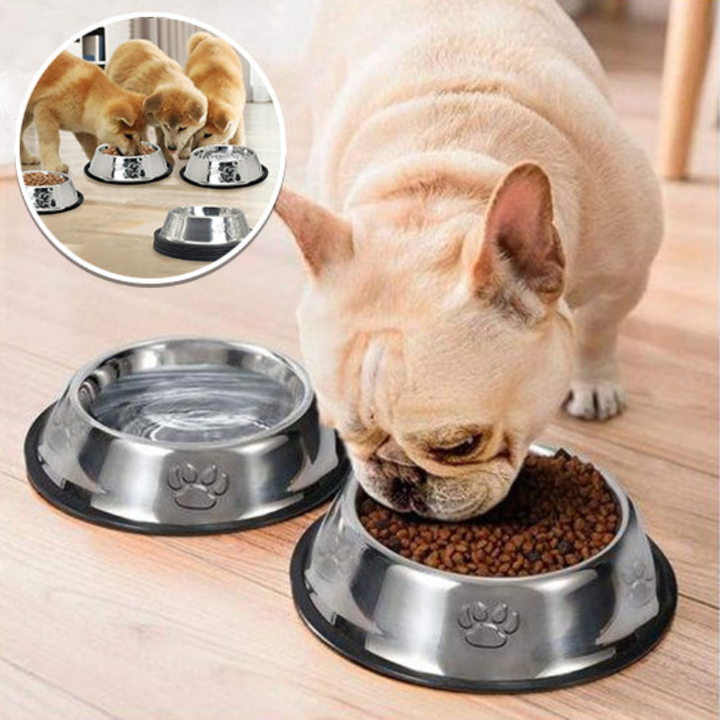 une gamelle avec de l'eau et une gamelle avec des croquettes