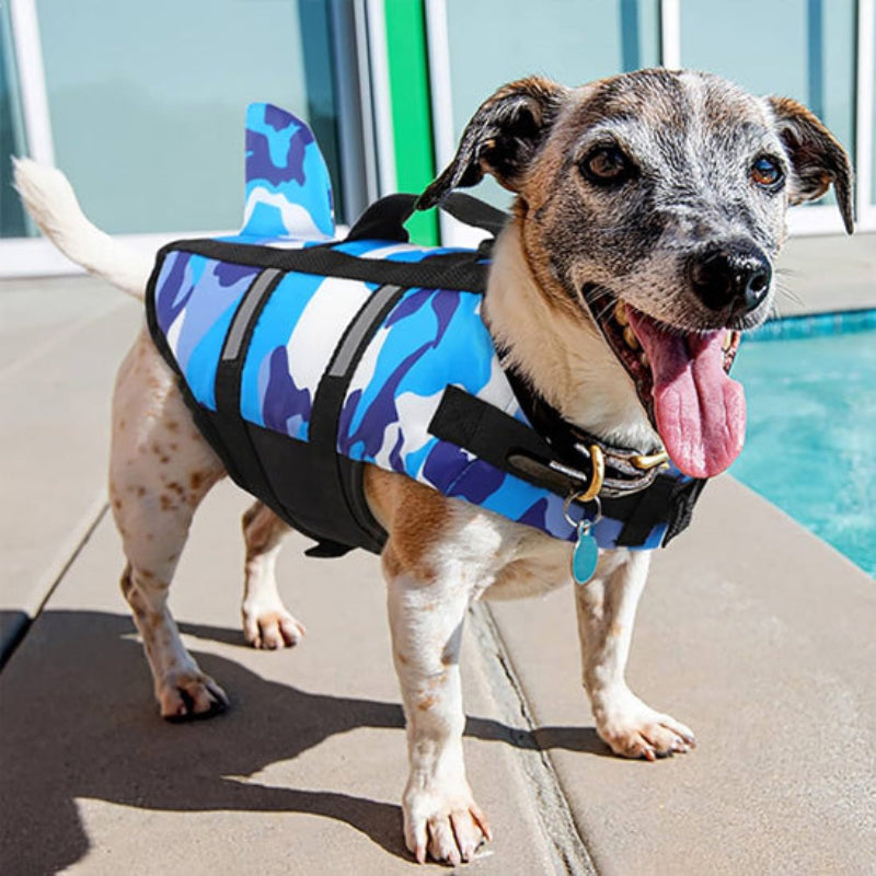 gilet de sauvetage pour chien bleu