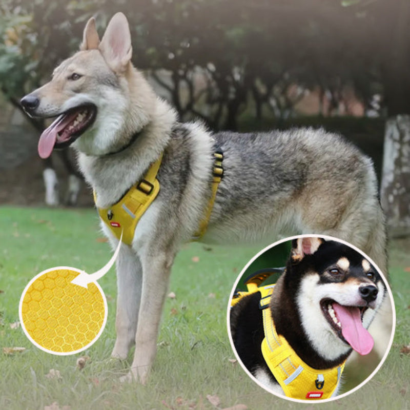 harnais-chien-anti-traction-jaune