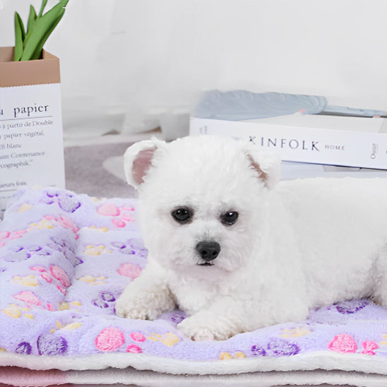 Tapis pour chien | ReveCanin™
