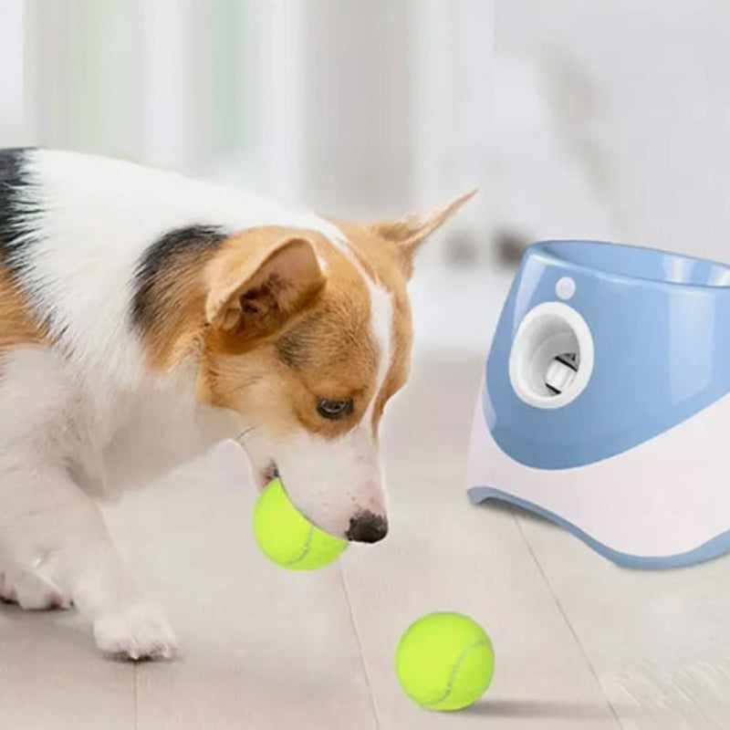 lanceur de balle pour chien bleu