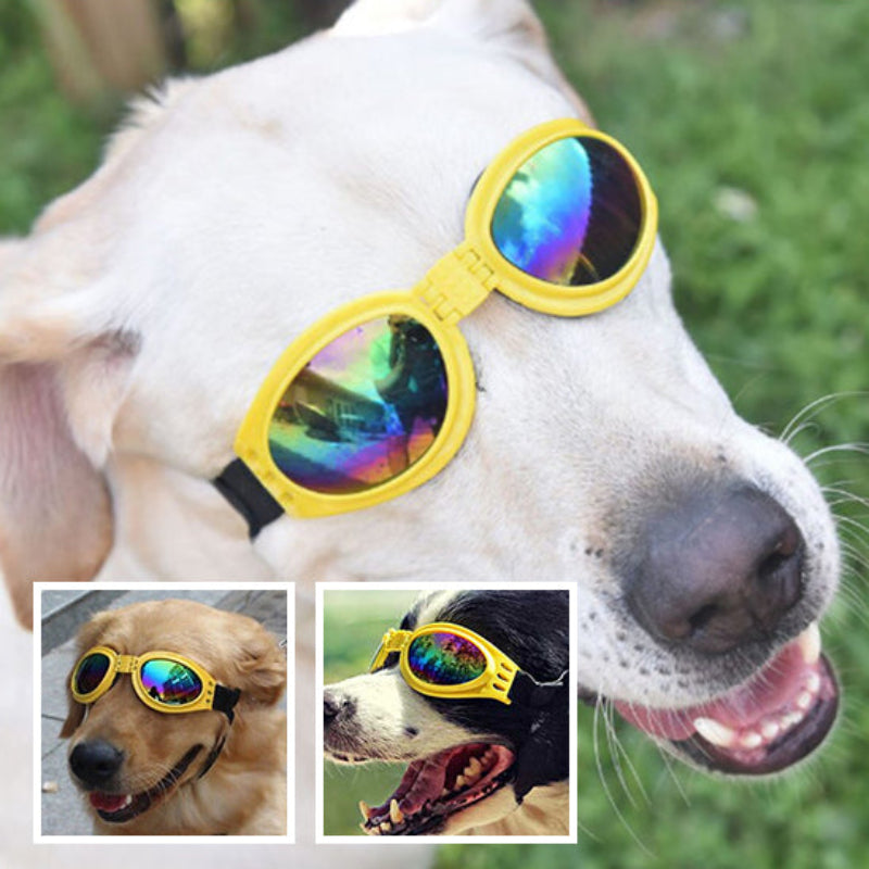 lunette-pour-chien-jaune