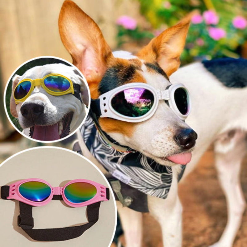 lunette-pour-chien-rose