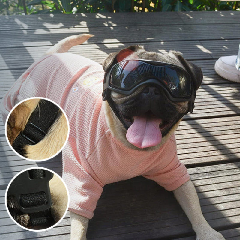 lunettes-chien-moto-noire