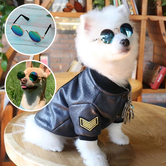 Lunettes pour chien | RetroPupâą