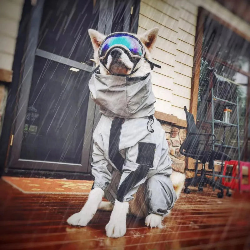 manteau-pluie-chien